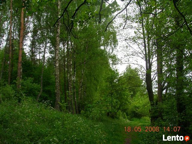 Mazury.Super domek.Miłe chwile przy kominku.