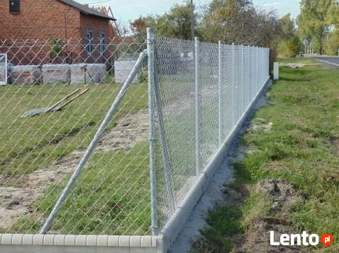 Siatka ogrodzenia 60x60x2,5mm h-150cm ocynk