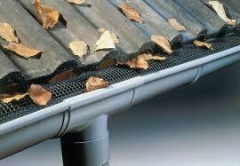 USZCZLNIANIE DACHÓW PAPA - CZYSZCZENIE RYNIEN ** EXPRESS