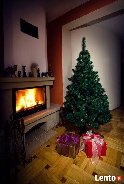 CHOINKA JODŁA POLSKA NATURALNA Od 60 - 220 cm