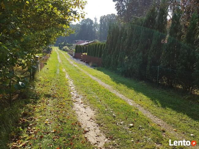 Domek nad jeziorem do wynajęcia