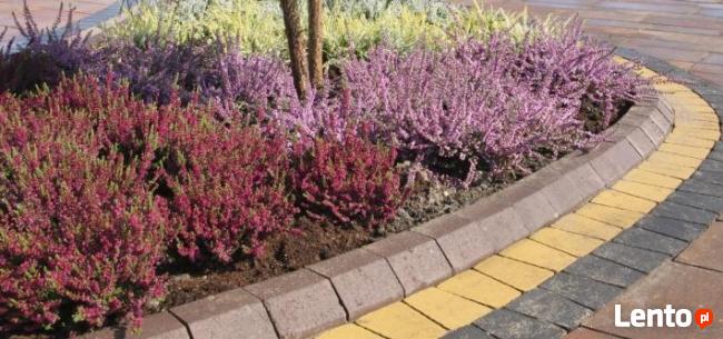 Kostka brukowa GOLDBRUK!