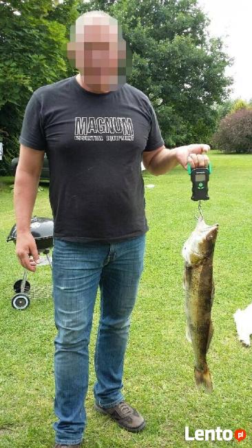 DOMEK LETNISKOWY NAD JEZIOREM WADĄG