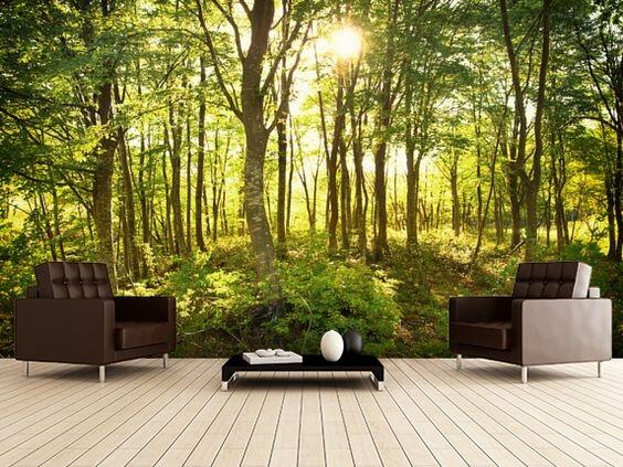 Fototapeta na wymiar. Naklejki i obrazy. Na zamówienie