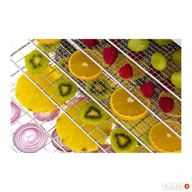 Suszarka do żywności grzybów owoców 10 poziomów 1000W inox