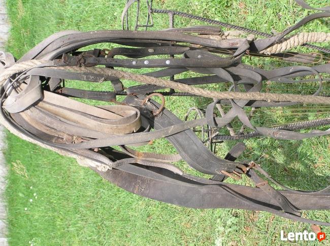 Uprząż konna robocza.