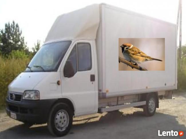 Transport - Bagażówka - Przeprowadzki - Usługi Transportowe