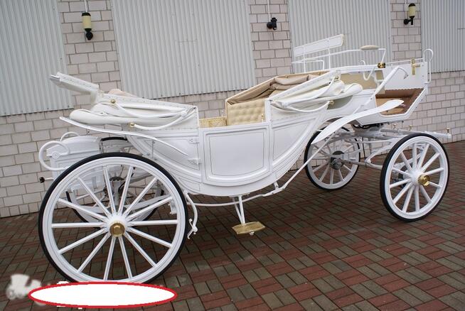 Bryczką Do Ślubu Katowice Kraków