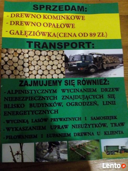 Wycinka drzew niebezpiecznych !!!