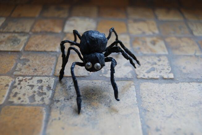 Zajęcia plastyczne dla dzieci i dorosłych (rysunek, malarstw