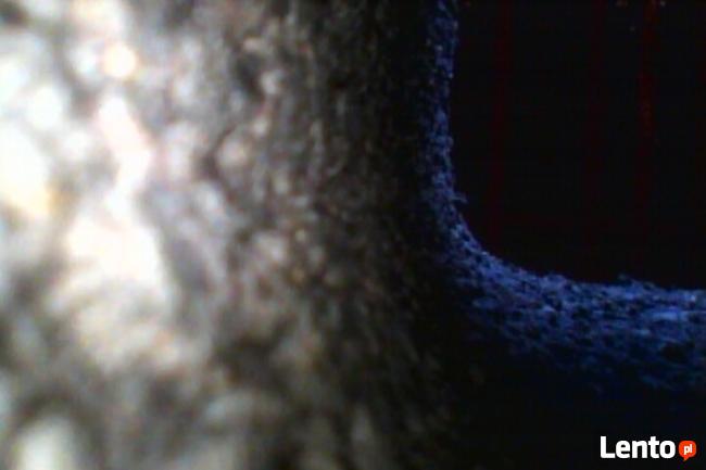 Kamera inspekcyjna Kraków, Endoskop Kraków, tel. 533-222-888