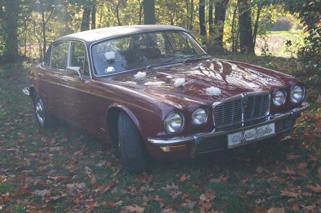 Do wynajęcia JAGUAR Limuzyna AUTO DO ŚLUBU samochód wesele