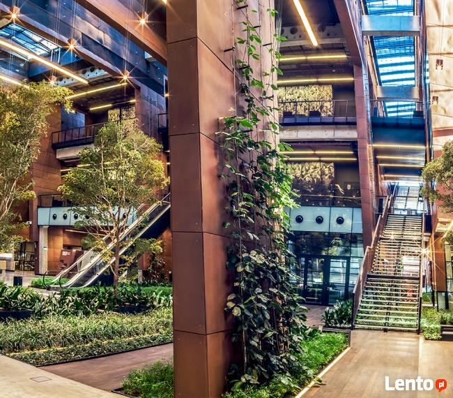 Fotografia dla firm i osób prywatnych