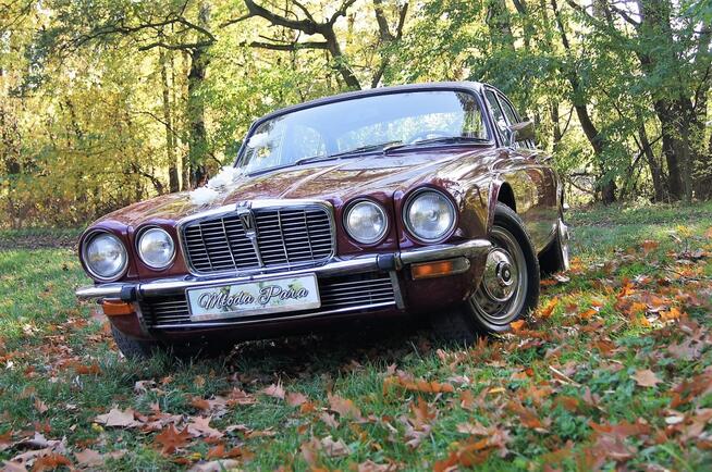 Do wynajęcia JAGUAR Limuzyna AUTO DO ŚLUBU samochód wesele