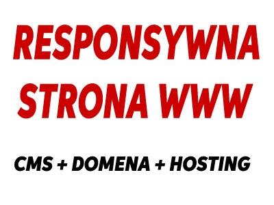Strona Internetowa WWW Responsywna (logo, hosting, domena)
