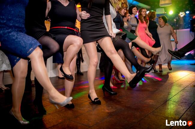 Śpiewający grający wodzirej z akordeonem na wesele poprawiny