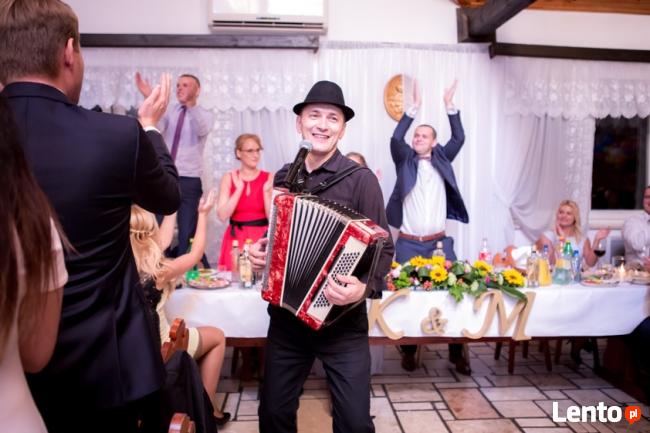 Śpiewający grający wodzirej z akordeonem na wesele poprawiny