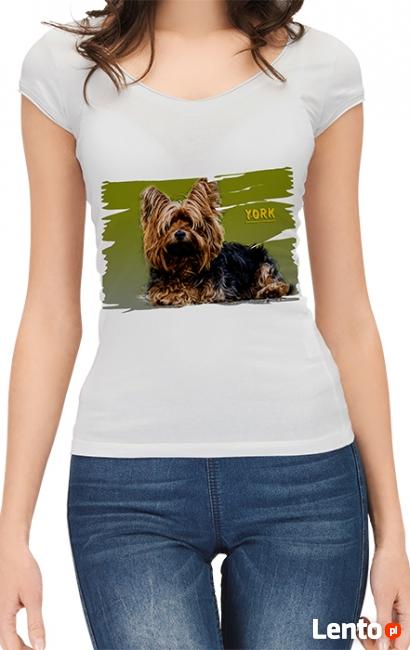 Koszulki i gadżety z nadrukiem