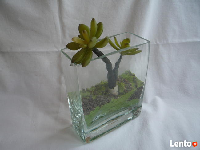 Kaktus w szklanym wazonie