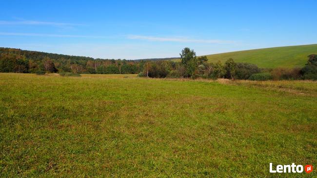 Działki siedliskowe 6,37 ha Dołżyca gm. Komańcza