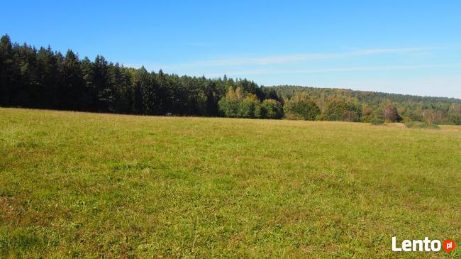 Działki siedliskowe 6,37 ha Dołżyca gm. Komańcza