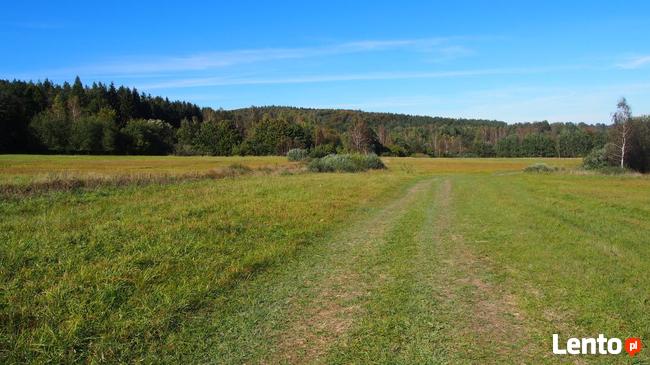 Działki siedliskowe 6,37 ha Dołżyca gm. Komańcza