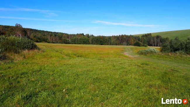 Działki siedliskowe 6,37 ha Dołżyca gm. Komańcza