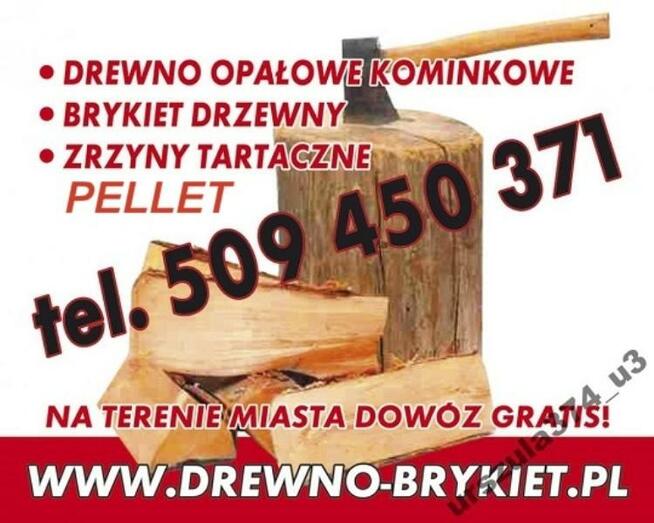 Drewno opałowe, brykiet, pellet drzewny
