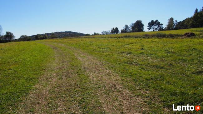 Działki siedliskowe 6,37 ha Dołżyca gm. Komańcza