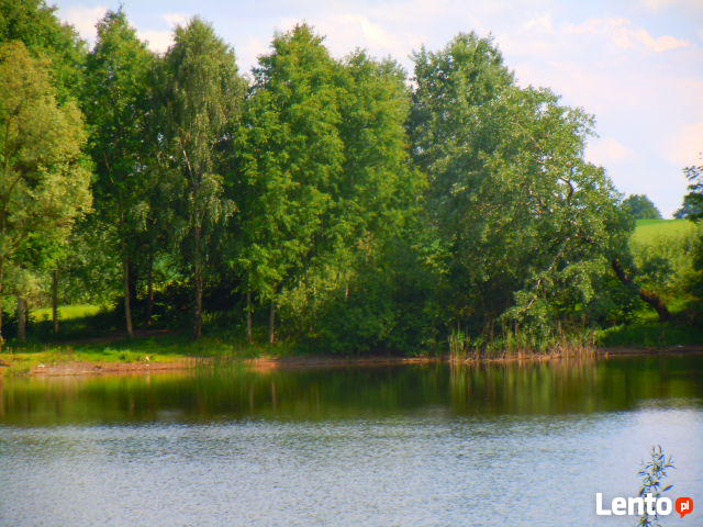 Działka...ładnie , tanio i szybko.