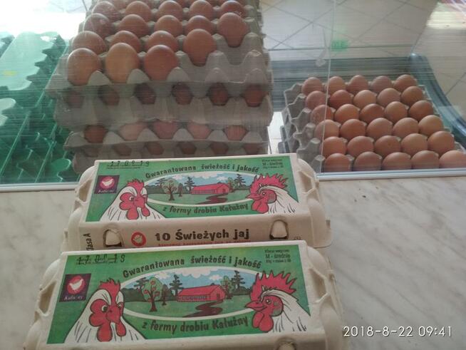 jaja świeżościpodłączyć się na rejsy morskie