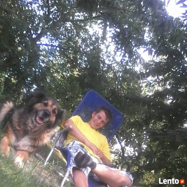 Szukam dziewczyny do zwionsku w wieku miedzy 20 a 34 roku kt