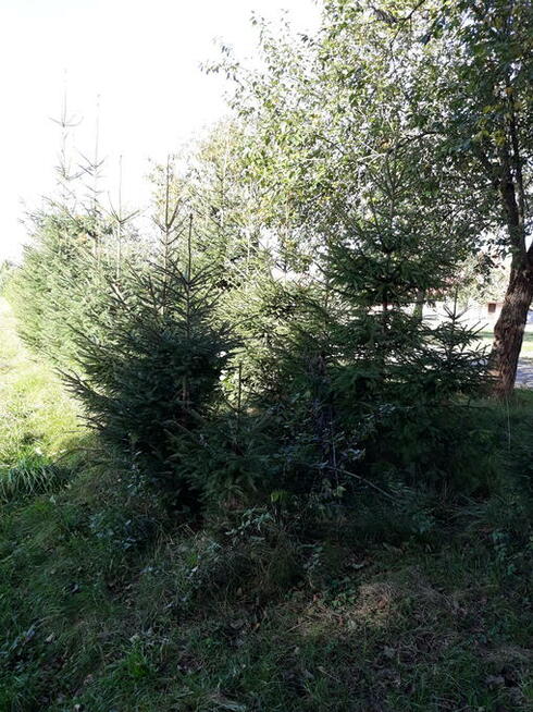 Odwied witajno, Polska. Na Badoo jest ponad 478. Czatuj w: witajno i flitruj w: witajno na Badoo! witajno - Online Czat i Randki | witajno, Polska - Poznaj