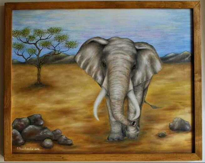 Obraz olejny "Słoń"
