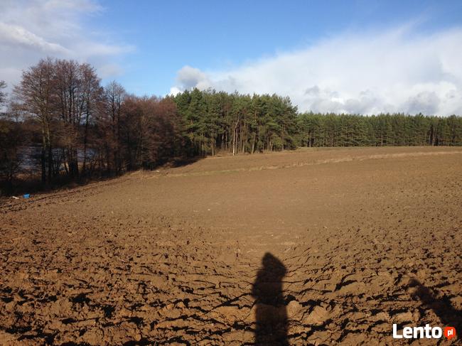 Bory Tucholskie z dostępem do jeziora! Stary Sumin Cekcyn