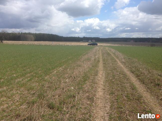 Bory Tucholskie z dostępem do jeziora! Stary Sumin Cekcyn