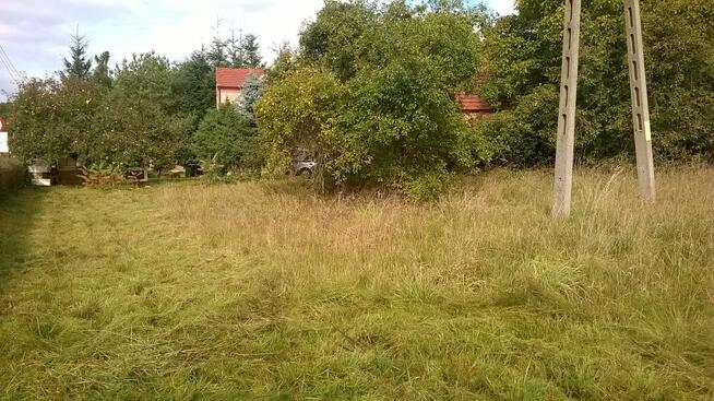 uslugi glebogryzarka 796993040 zielona gora przekopywanie