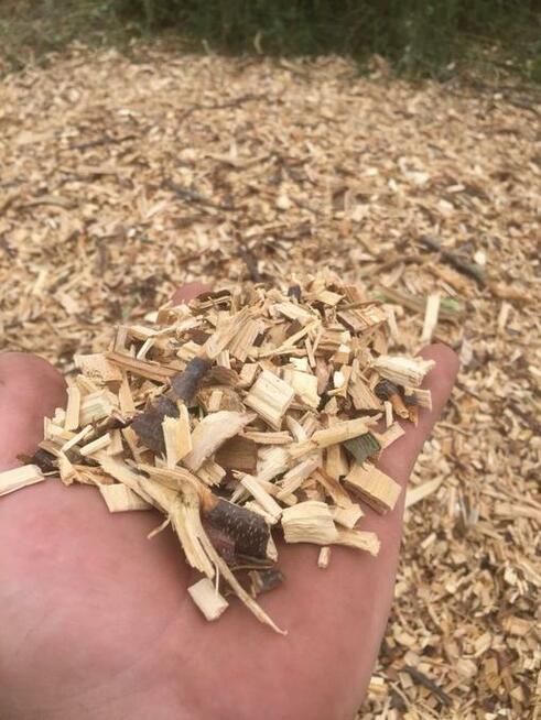 Przycinanie drzew Mosina, Puszczykowo , Wiry , Łęczyca