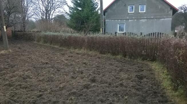 uslugi glebogryzarka 796993040 zielona gora przekopywanie