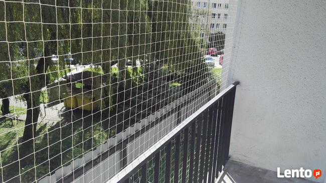 Siatka balkonowa przeciw ptakom - montaż. Sprzątanie balkonu