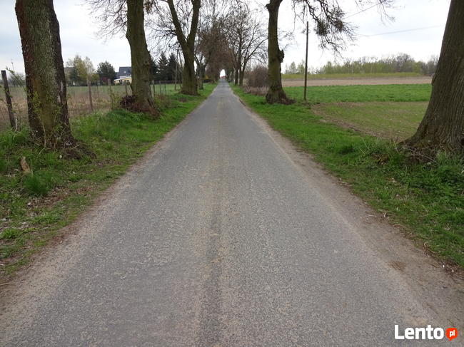 Działkę budowlaną w Zielonczynie