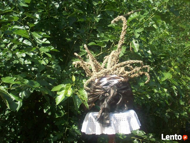 Dzikie zioła ukwiecające pomieszczenia