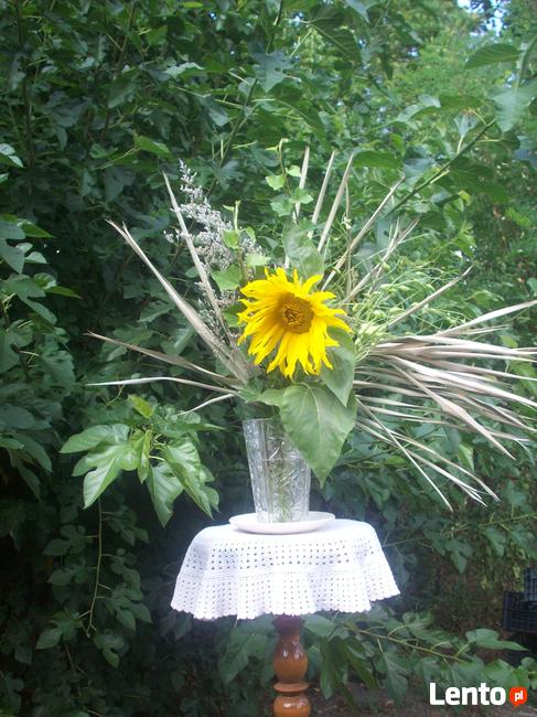 Sprzątanie i upiększanie domów, mieszkań, firm.