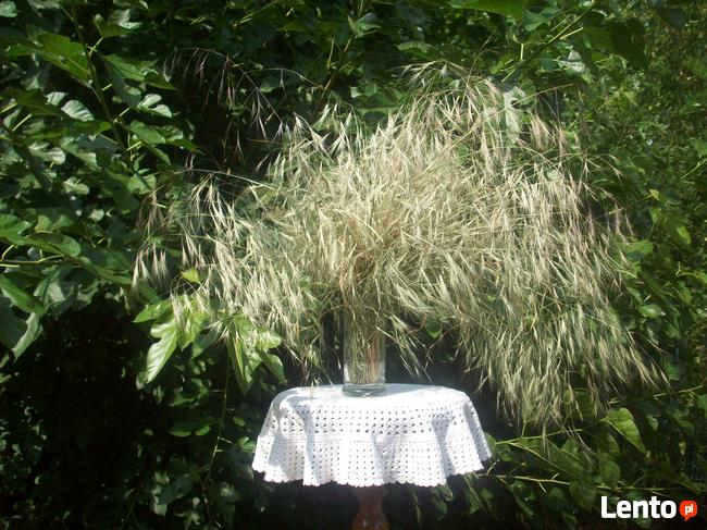 Sprzątanie i upiększanie domów, mieszkań, firm.