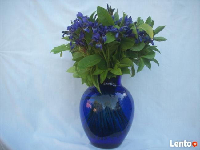 Dzikie zioła ukwiecające pomieszczenia