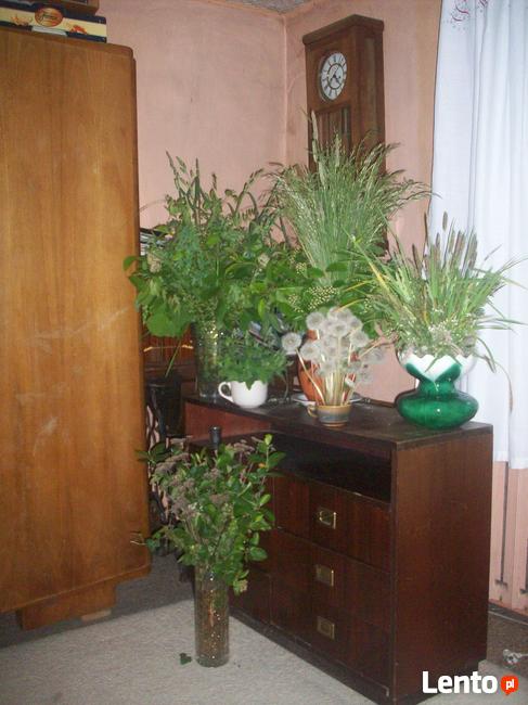 Sprzątanie i upiększanie domów, mieszkań, firm.