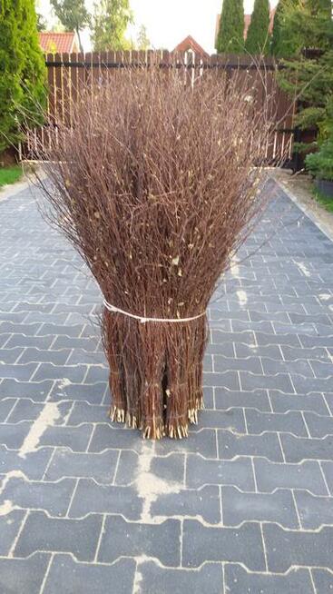 Sól drogowa z antyzbrylaczem w workach 25 kg, mieszanka