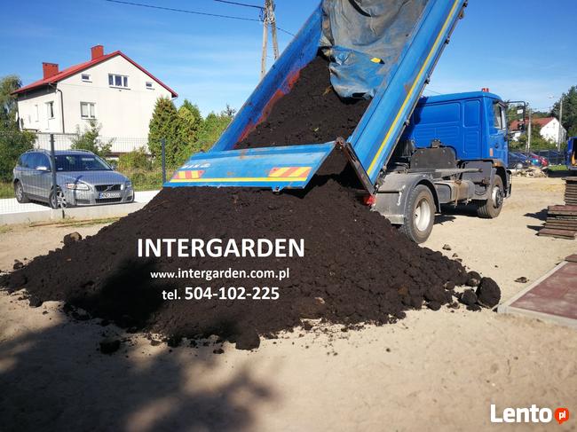 Usługi minikoparką wynajem minikoparki z operatorem