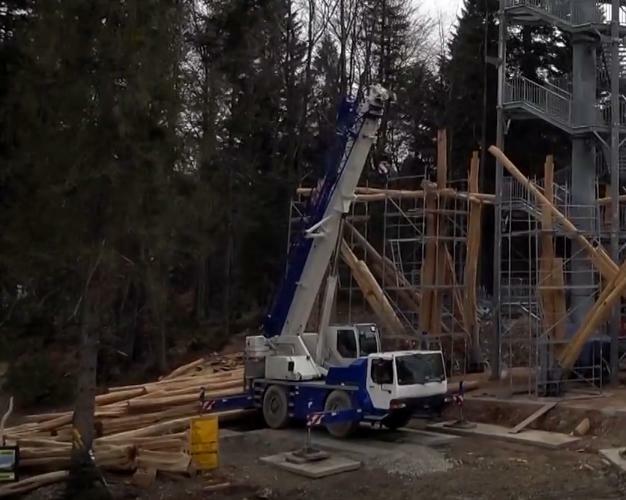 Dźwig żuraw samojezdny usługi dźwigowe wynajem dźwigu