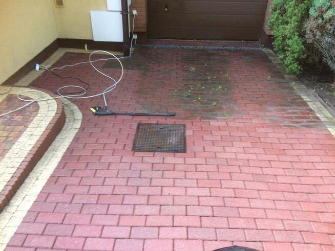 Usługi ogrodnicze, trawniki, koszenie, cięcie żywopłotów